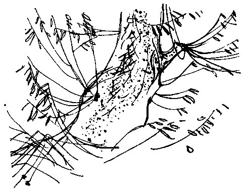 Война у Титова пруда - pic_10.png