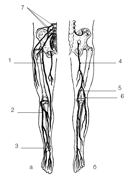 Остеохондроз. Комплекс лечебной биомеханической гимнастики - i_010.jpg