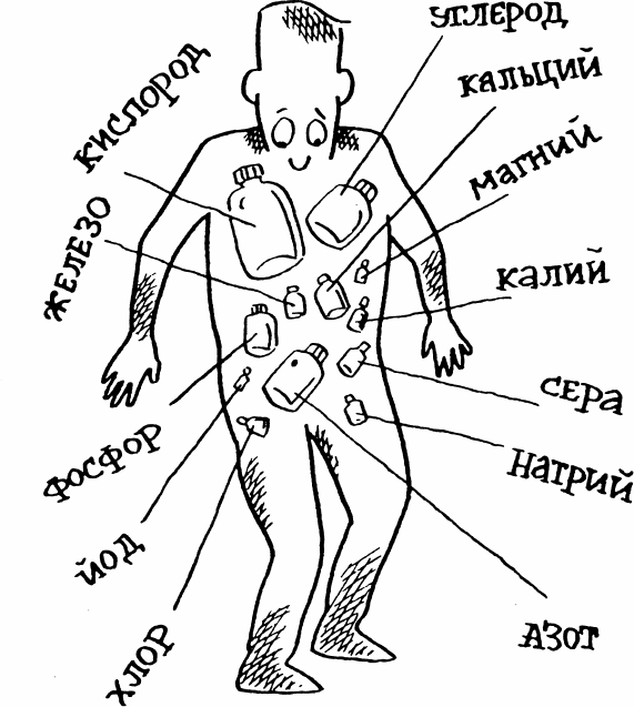 Как устроен человек - _01.png