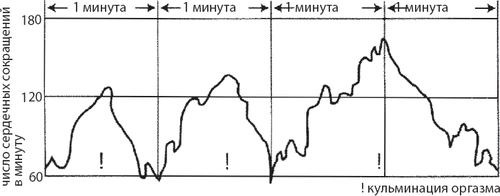 Мульти-оргазмический мужчина. Как каждый мужчина может испытать множественный оргазм и сделать потрясающими свои сексуальные отношения - i_001.png