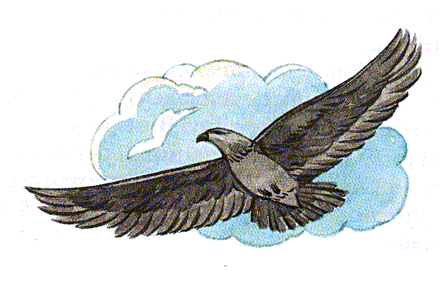 Дивовижні мандри Нільса з дикими гусьми - i_051.png