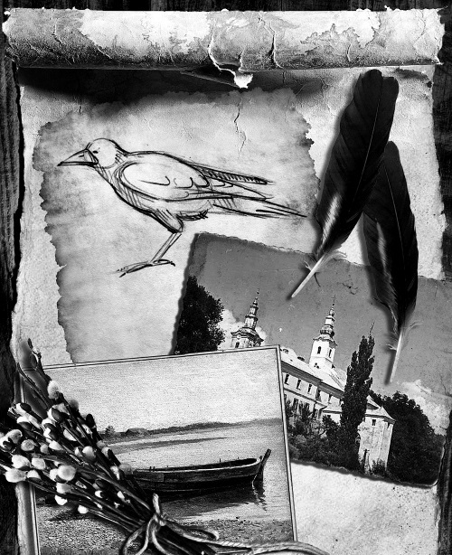 Мафтей: книга, написанная сухим пером - i_003.jpg