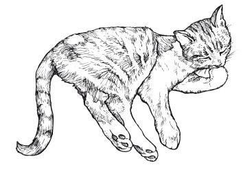 Рассказы о животных. С вопросами и ответами для почемучек - i_021.jpg