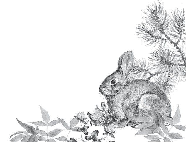 Рассказы о животных. С вопросами и ответами для почемучек - i_028.jpg