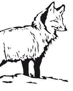 Рассказы о животных. С вопросами и ответами для почемучек - i_029.jpg