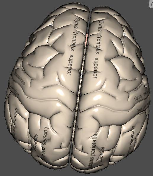 Daries of Krovos: Neuron - _11.jpg