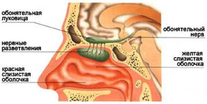 Daries of Krovos: Neuron - _46.jpg