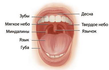 Daries of Krovos: Neuron - _47.jpg