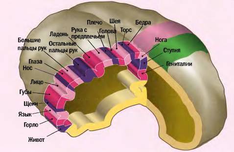 Daries of Krovos: Neuron - _50.jpg