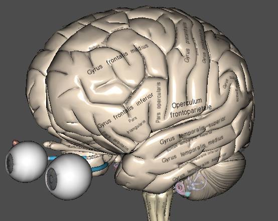 Daries of Krovos: Neuron - _9.jpg