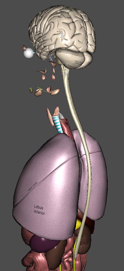 Daries of Krovos: Neuron - _13.jpg