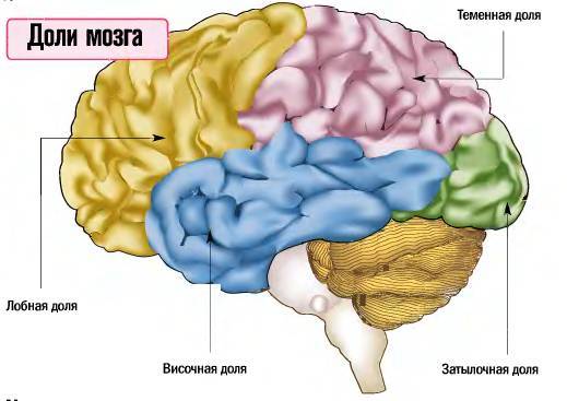 Daries of Krovos: Neuron - _15.jpg