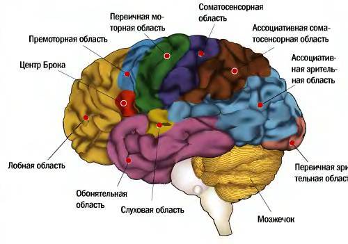 Daries of Krovos: Neuron - _16.jpg