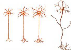 Daries of Krovos: Neuron - _17.jpg