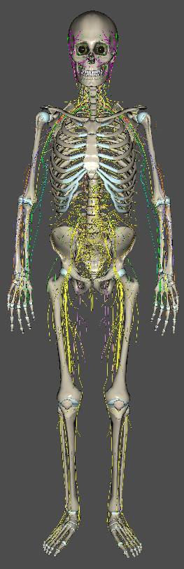 Daries of Krovos: Neuron - _19.jpg