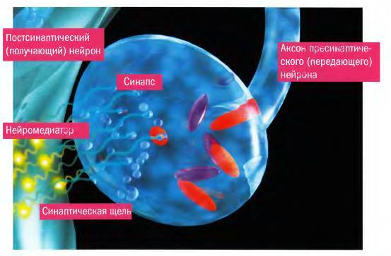 Daries of Krovos: Neuron - _21.jpg