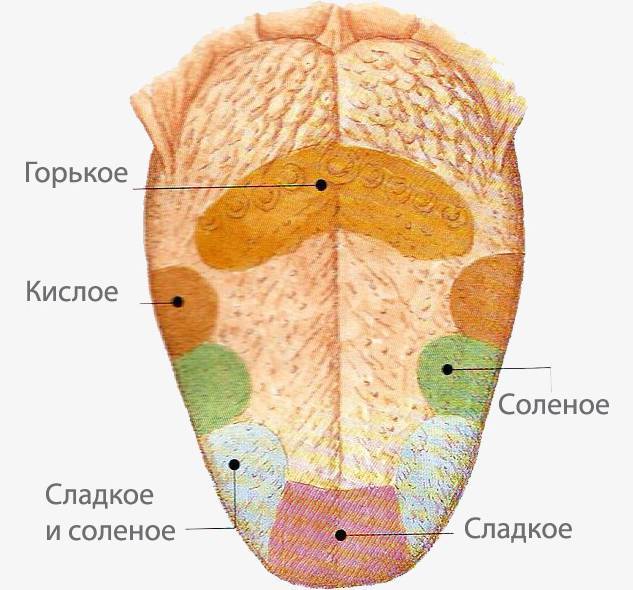 Daries of Krovos: Neuron - _48.jpg