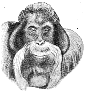 Всемирный следопыт, 1927 № 02 - i_030.png