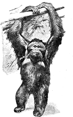 Всемирный следопыт, 1927 № 02 - i_031.png