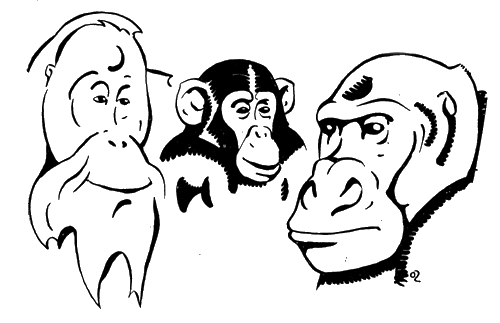 Всемирный следопыт, 1927 № 02 - i_037.png