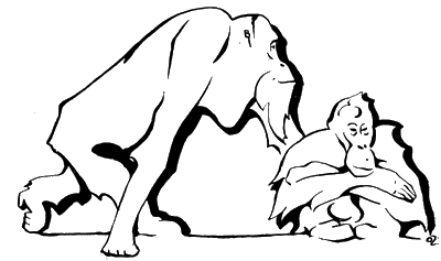 Всемирный следопыт, 1927 № 02 - i_038.png