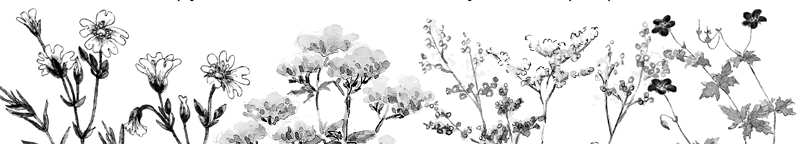 Лягушка-путешественница. С вопросами и ответами для почемучек - i_024.png