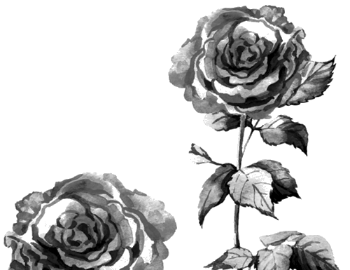 Лягушка-путешественница. С вопросами и ответами для почемучек - i_026.png