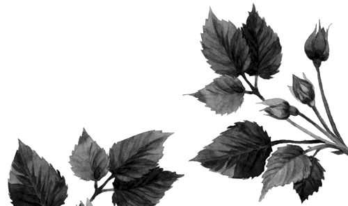 Лягушка-путешественница. С вопросами и ответами для почемучек - i_028.png