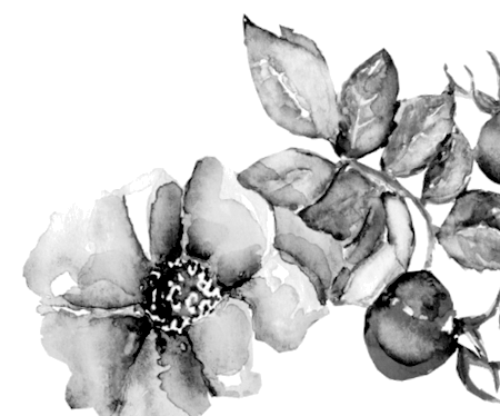 Лягушка-путешественница. С вопросами и ответами для почемучек - i_031.png