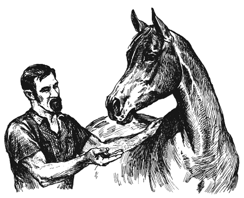 Лягушка-путешественница. С вопросами и ответами для почемучек - i_037.png