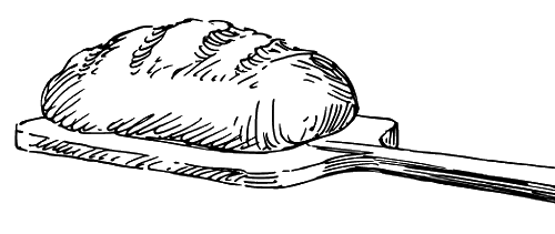 Лягушка-путешественница. С вопросами и ответами для почемучек - i_038.png