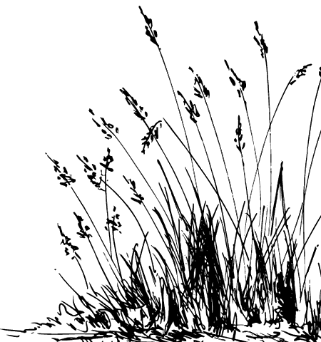 Лягушка-путешественница. С вопросами и ответами для почемучек - i_039.png