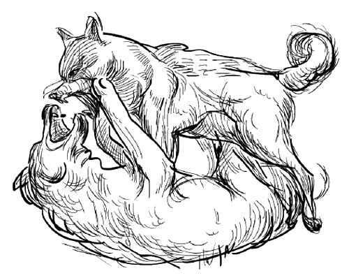 Лягушка-путешественница. С вопросами и ответами для почемучек - i_051.png