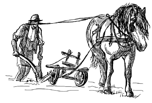 Лягушка-путешественница. С вопросами и ответами для почемучек - i_052.png