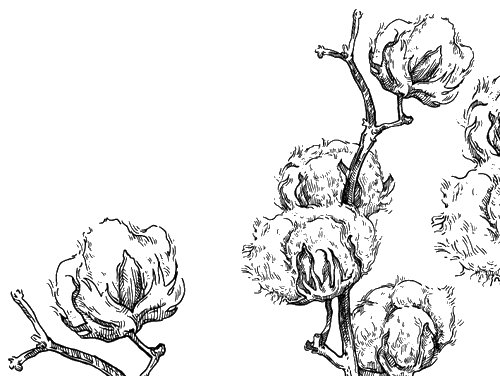 Лягушка-путешественница. С вопросами и ответами для почемучек - i_057.png