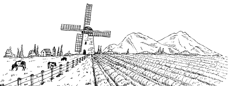 Лягушка-путешественница. С вопросами и ответами для почемучек - i_083.png