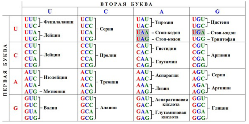 Что ответить дарвинисту? Часть I - i_006.png