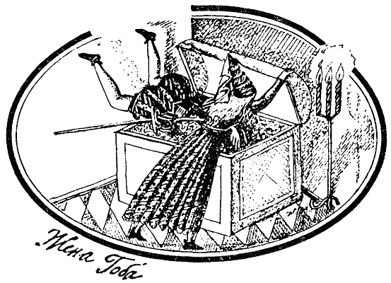 Сказки Ирландские и Валлийские (Британские легенды и сказки) - i_011.png