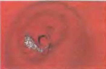 Знание-сила, 1997 № 05 (839) - _23.jpg