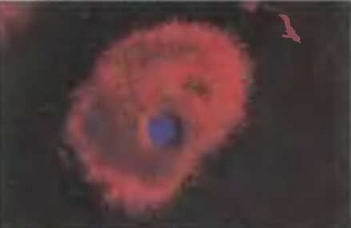 Знание-сила, 1997 № 05 (839) - _25.jpg