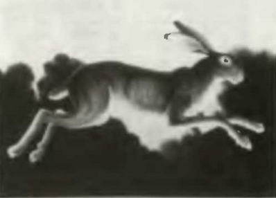 Знание-сила, 1997 № 05 (839) - _38.jpg