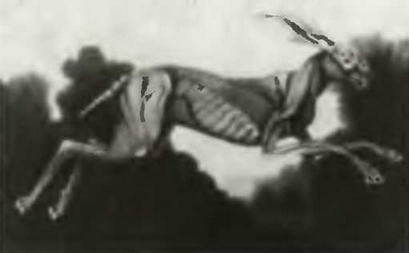 Знание-сила, 1997 № 05 (839) - _39.jpg