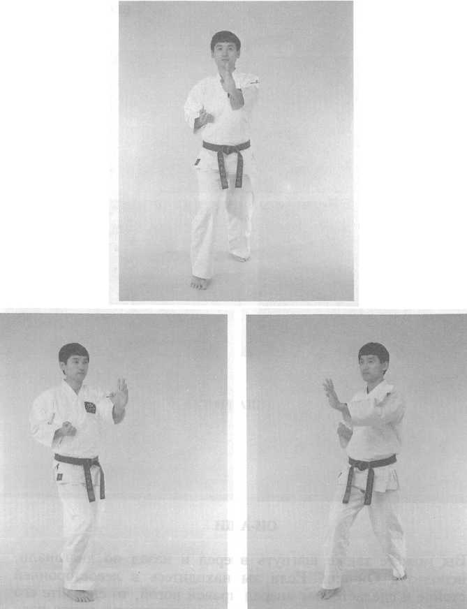 Основы каратэ - до - _110.jpg