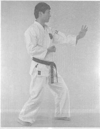 Основы каратэ - до - _120.jpg