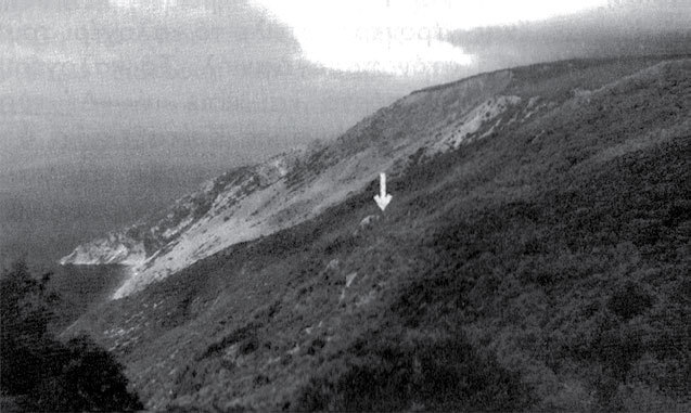 Новый Афонский патерик. Том I. Жизнеописания - _9.jpg