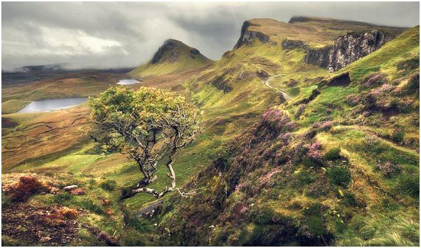 Поддельный шотландец. Дилогия (СИ) - img973E.jpg