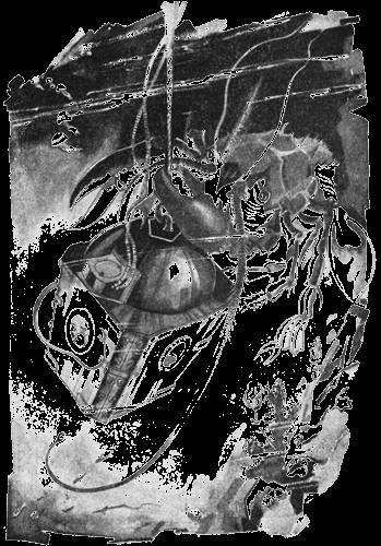 Всемирный следопыт, 1928 № 01 - _25.jpg