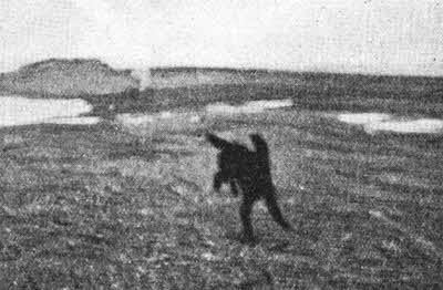 Всемирный следопыт, 1928 № 01 - _34.jpg