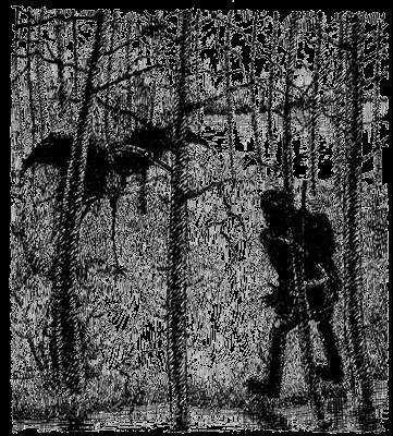 Всемирный следопыт, 1928 № 02 - _24.jpg