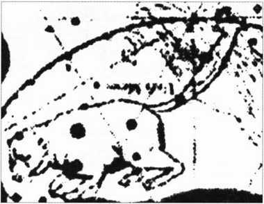 Загадки казацких характерников (ЛП) - i_073.jpg